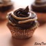Peanut Butter and Chocolate Frosted Cupcakes