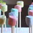 Skittles Marshmallow Pops