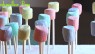 Skittles Marshmallow Pops